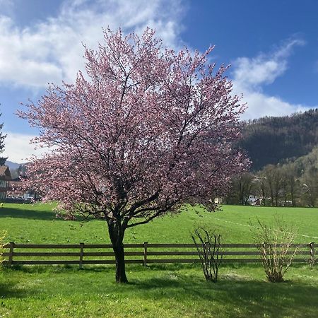 Open Garden Mountain Lodge Oberaudorf Exteriör bild